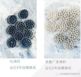 裕隆环保 裕龙活性生物填料，十六载创新路，匠心铸就水处理新引擎