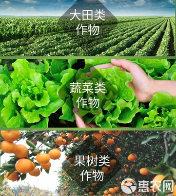 海藻肥“安丰乐-海藻素” 强力促生根壮苗、防病害与合成技术研发