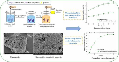 合成技术研发 西北农林科技大学食品科学与工程学院的创新引擎