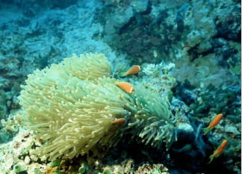 观方好物 华山医院研制的身体乳，何以成为值得“囤一辈子”的护肤好物？